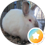 jeanne s. Avatar